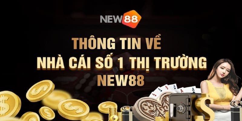 Các dữ liệu cơ bản giới thiệu về thương hiệu New88