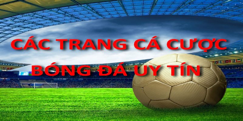 Tổng hợp các trang cá cược bóng đá xanh chín trong thị trường